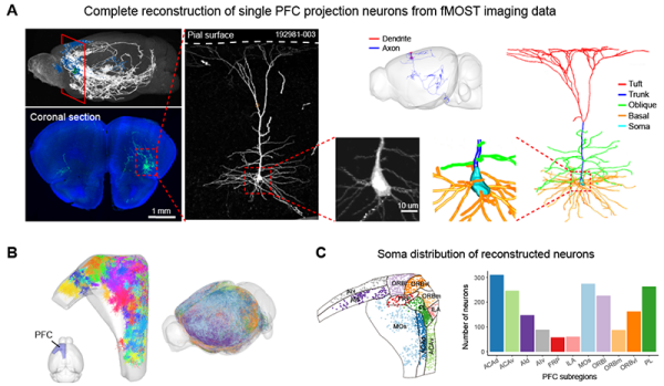 20230612102048468.png 20230612102048468.png