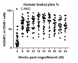 人免疫系统重建小鼠