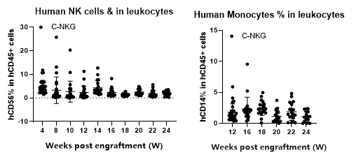 人免疫系统重建小鼠