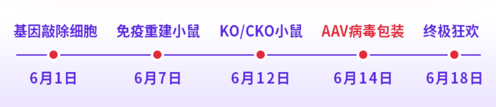 人免疫系统重建小鼠