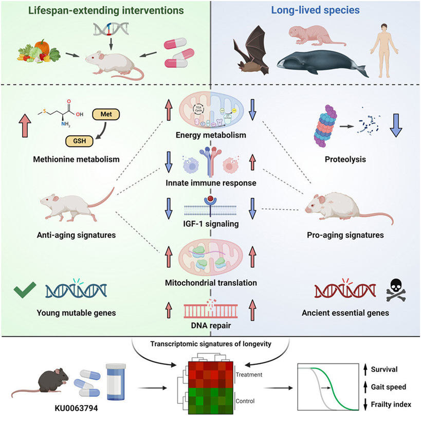 1687301422571_2185383.png 1687301422571_2185383.png