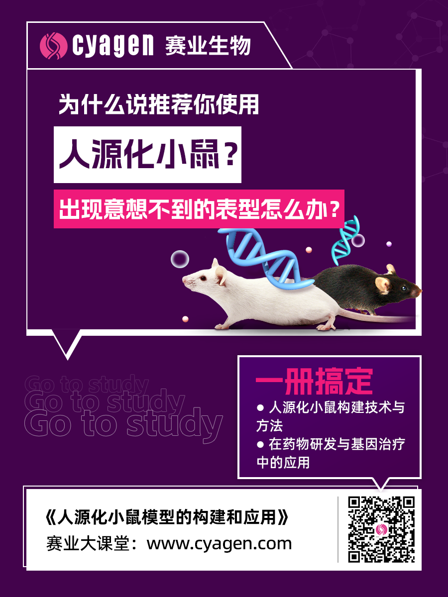 全人源化小鼠