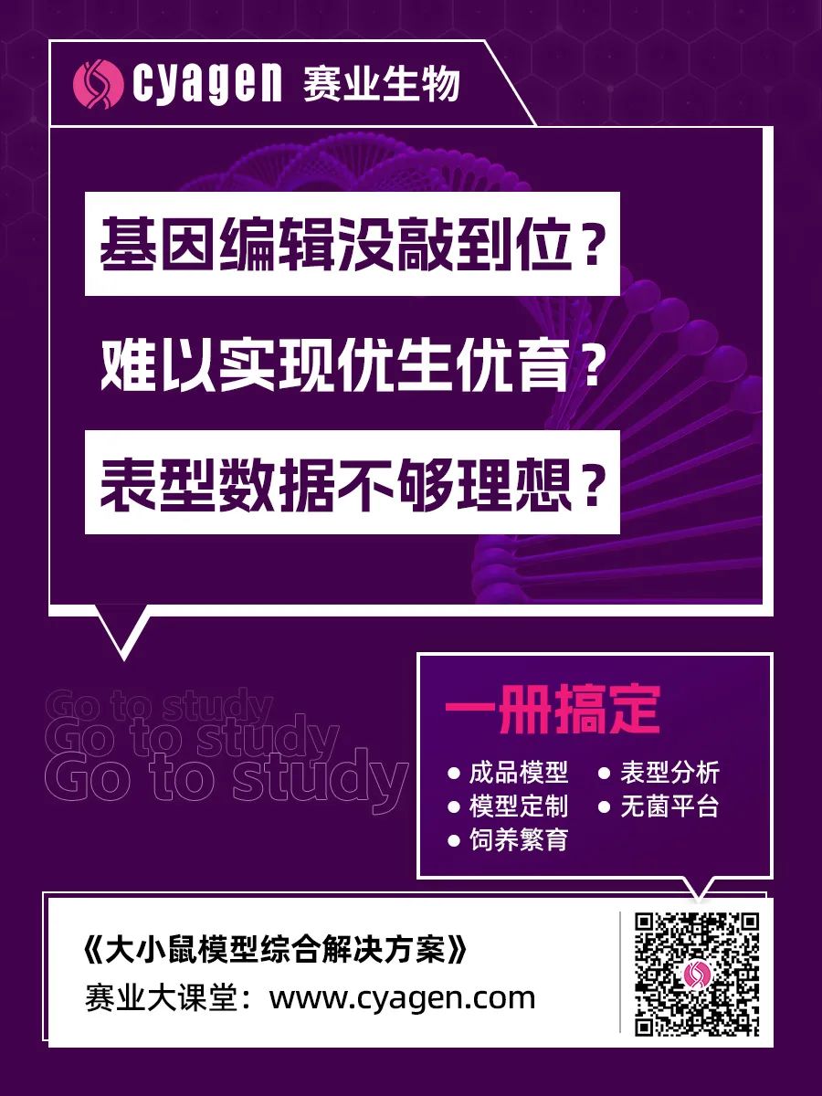 大小鼠模型综合解决方案 大小鼠模型综合解决方案