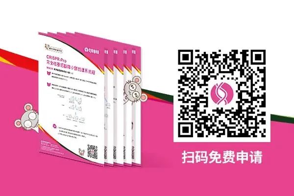 大小鼠模型综合解决方案 大小鼠模型综合解决方案