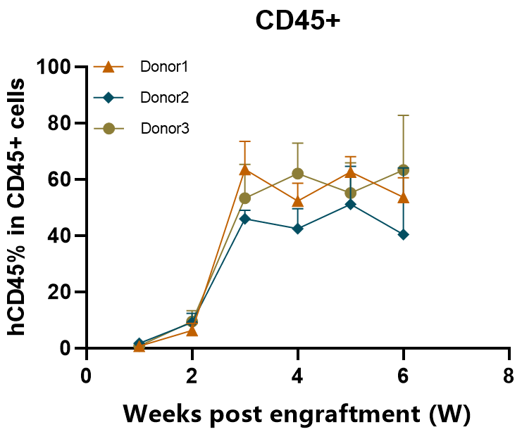重度免疫缺陷C-NKG 重度免疫缺陷C-NKG