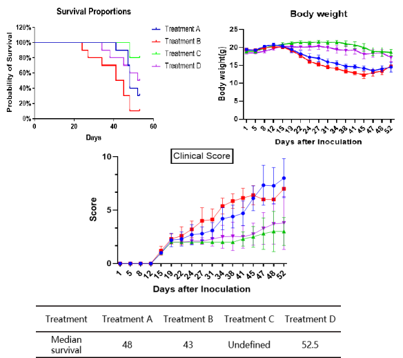 C-NKG模型 C-NKG模型