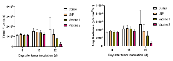 重度免疫缺陷鼠C-NKG