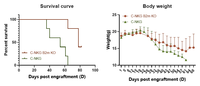 重度免疫缺陷鼠