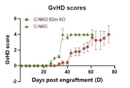 重度免疫缺陷鼠