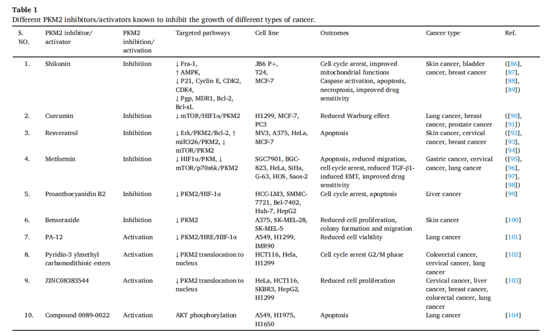 PKM1基因敲除小鼠