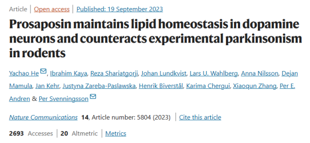 围绕溶酶体蛋白PSAP的新研究有望带来帕金森病的新疗法