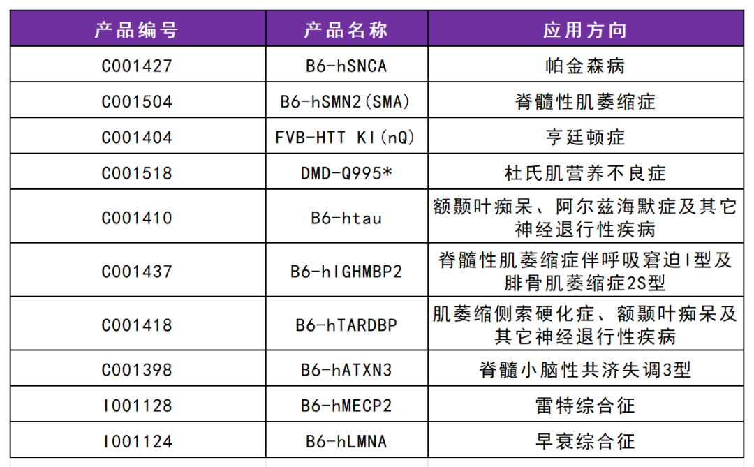 GFAP人源化大鼠 GFAP人源化大鼠