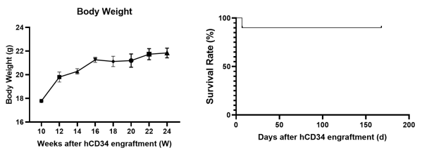 新一代的全免疫系统重建小鼠