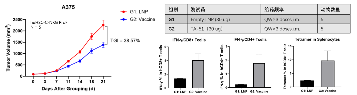新一代的全免疫系统重建小鼠 新一代的全免疫系统重建小鼠