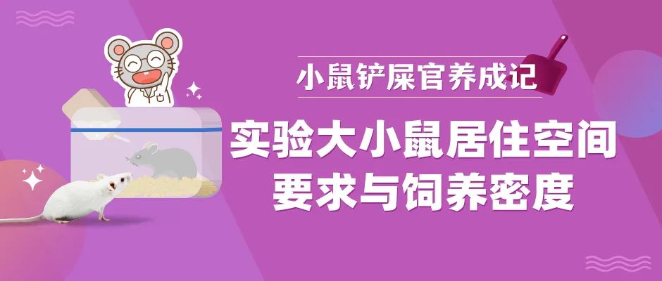 实验大小鼠的宜居空间学