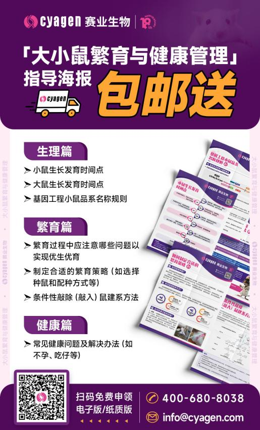 实验大小鼠的宜居空间学