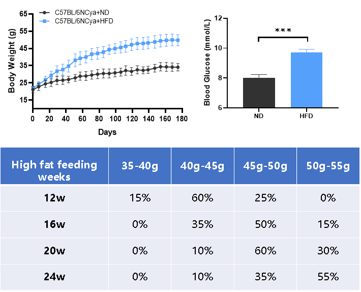 DIO-B6-M小鼠 DIO-B6-M小鼠