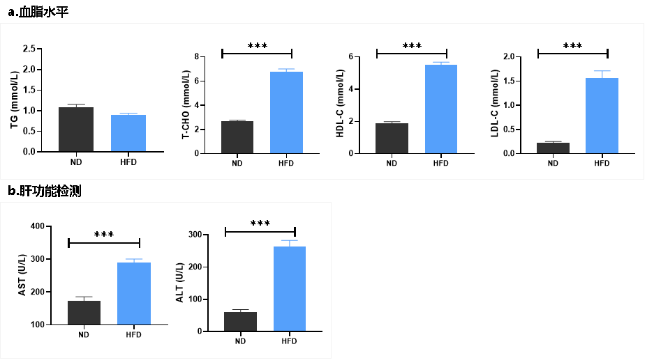 DIO-B6-M小鼠 DIO-B6-M小鼠
