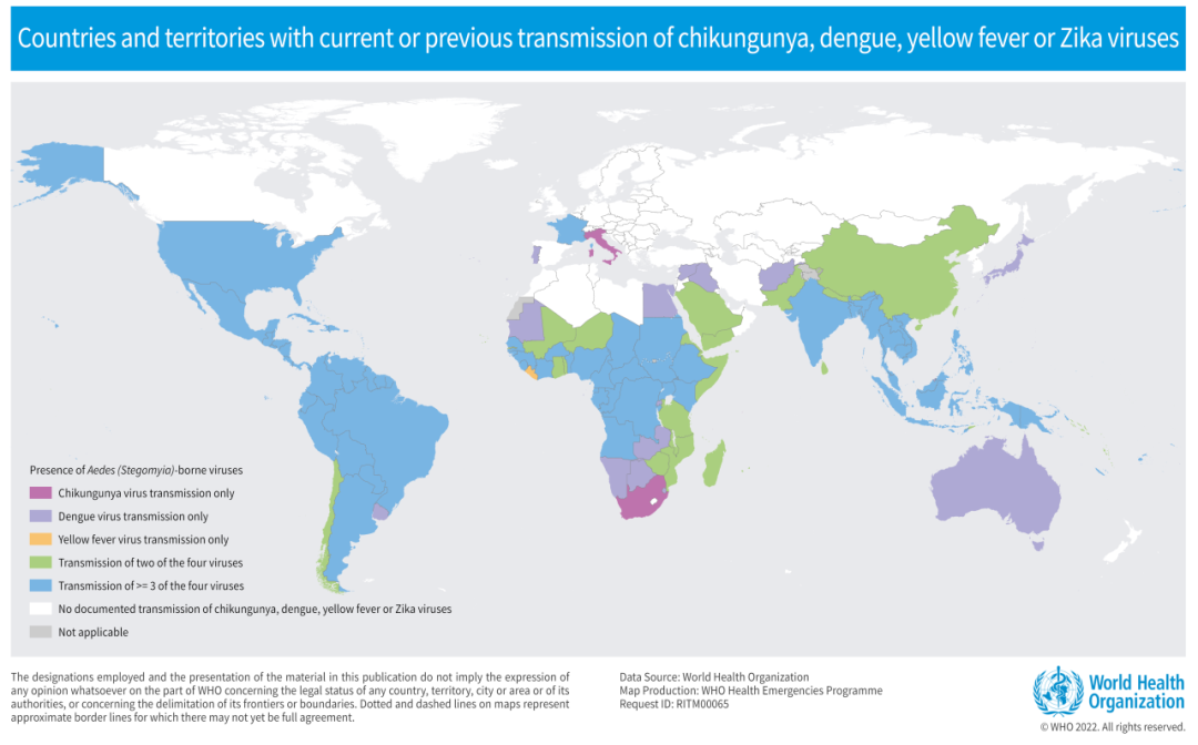 AG129小鼠 AG129小鼠