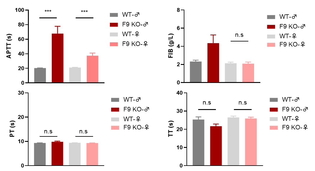F11“人源化”小鼠