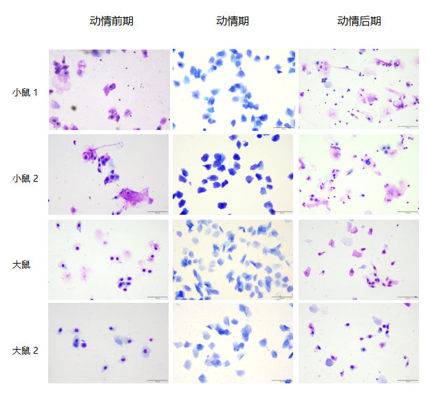 1741774882249.jpg 1741774882249.jpg