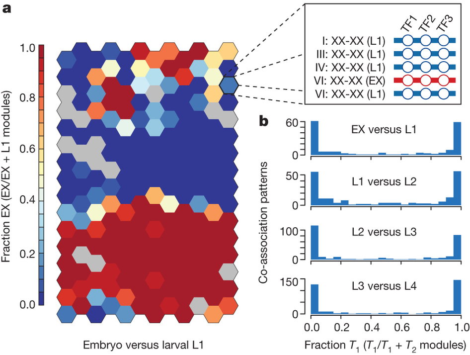 Nature:线虫基因组的转录因子图