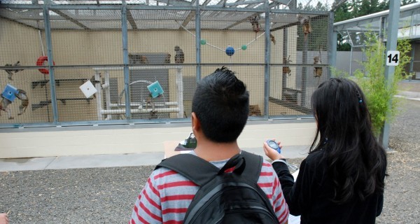 Students observe animal research as part of Oregon Health & Science University