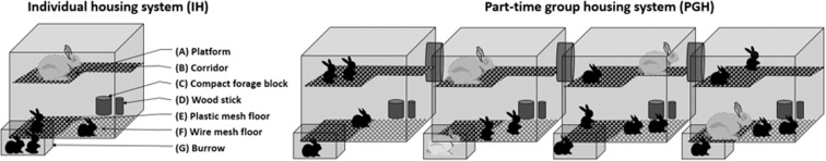 1-s20-S1751731121002330-gr1.jpg