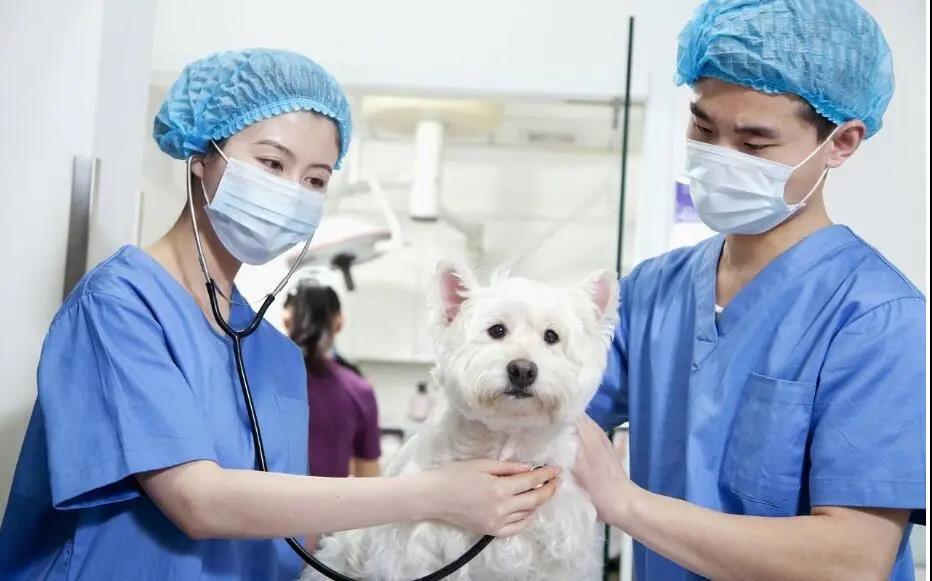 微信图片_20200511110508.jpg 微信图片_20200511110508.jpg