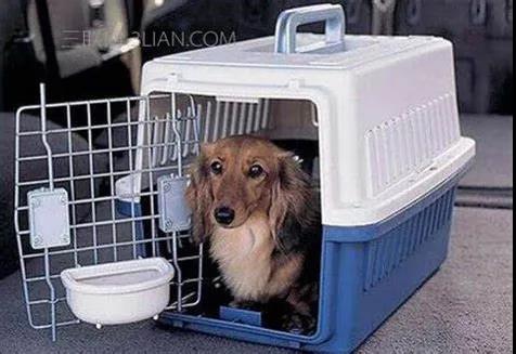 微信图片_20200615121542.jpg 微信图片_20200615121542.jpg