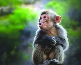 微信图片_20200723144309.jpg 微信图片_20200723144309.jpg