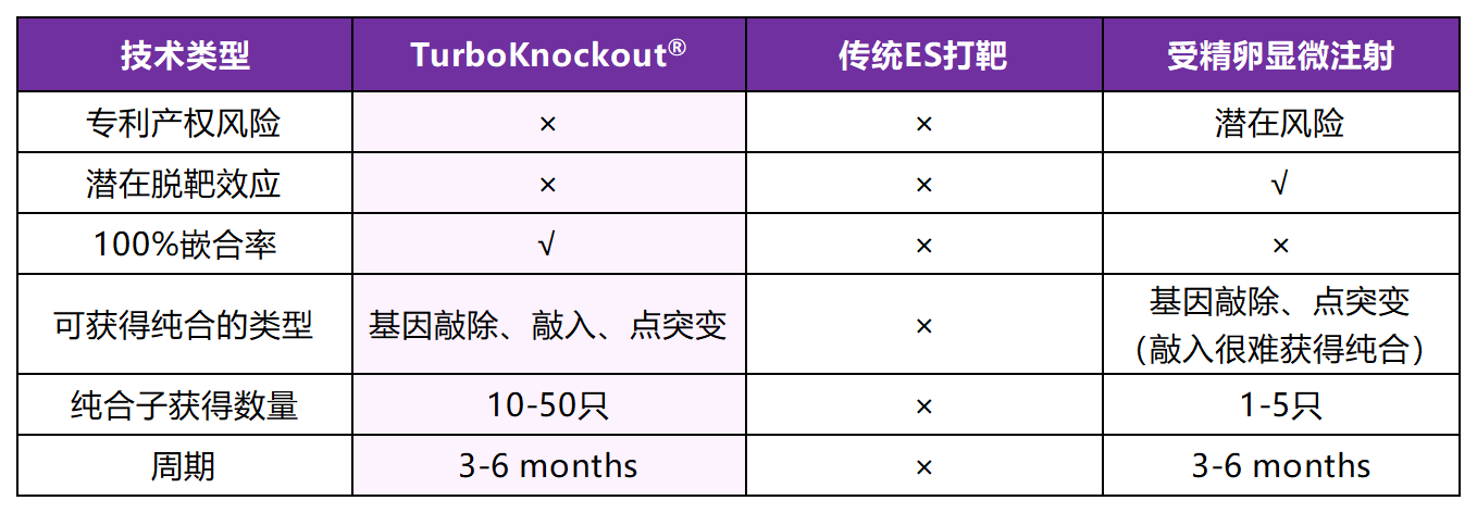 从ES细胞打靶到100%嵌合Founder小鼠