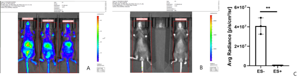 TurboKnockout®技术 100%嵌合率的验证数据