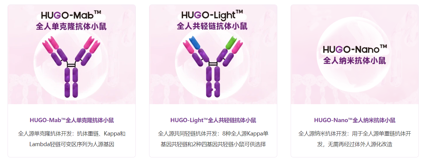 TurboKnockout®技术 100%嵌合率的验证数据