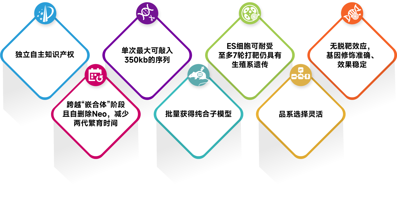 TurboKnockout®技术 100%嵌合率的验证数据