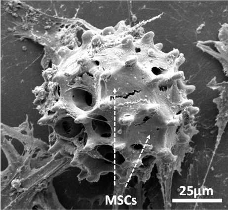 QQ 截图 20180628084851