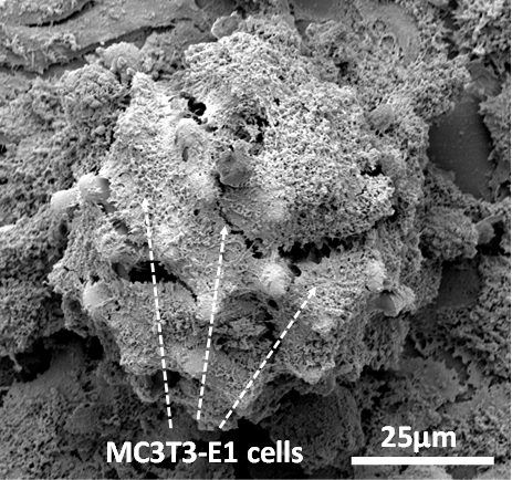 QQ 截图 20180628084841