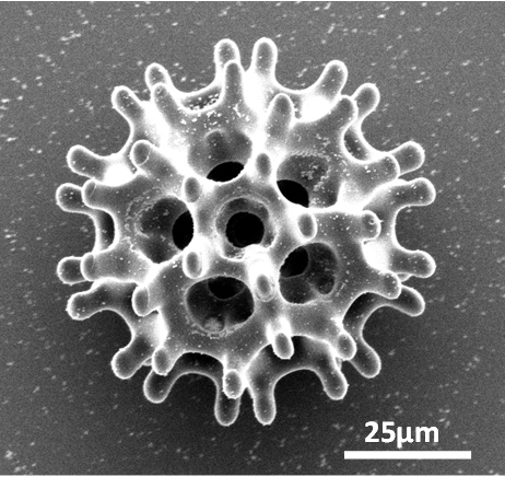QQ 截图 20180628084834