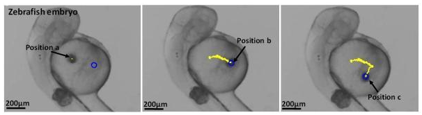 QQ 截图 20180628085006