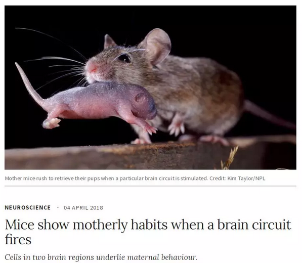 QQ 截图 20180530132609