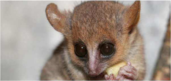 QQ 截图 20180508081940