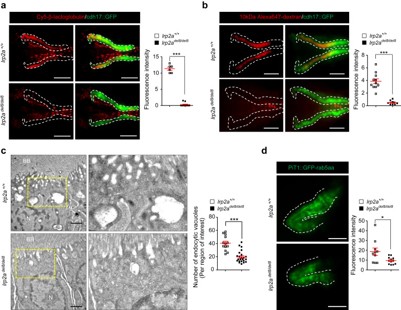 d3cccae9e7f20d5c881897306d01fd65_1-s20-S0085253819311585-gr1ad.jpg d3cccae9e7f20d5c881897306d01fd65_1-s20-S0085253819311585-gr1ad.jpg