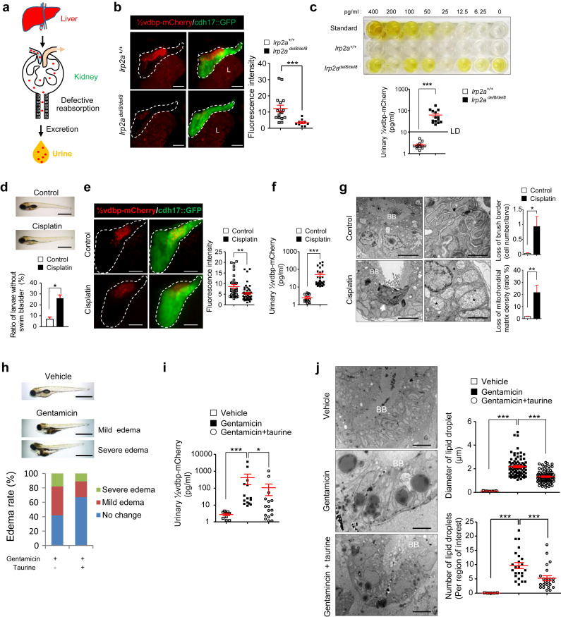 94528c98d05e2aaaacb572238ffdbc05_1-s20-S0085253819311585-gr3.jpg 94528c98d05e2aaaacb572238ffdbc05_1-s20-S0085253819311585-gr3.jpg