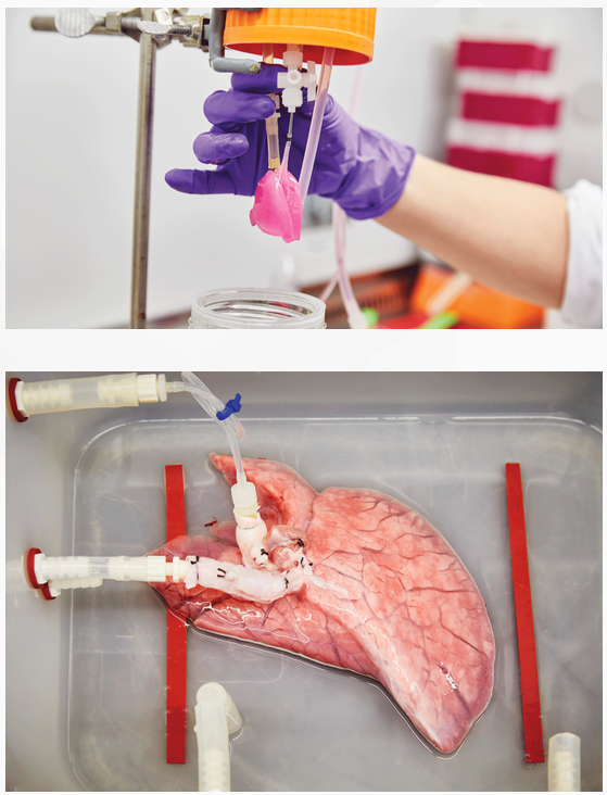 QQ 截图 20180303093428