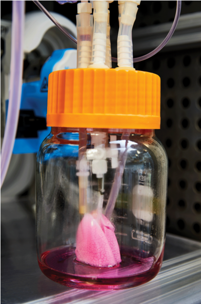 QQ 截图 20180303093617