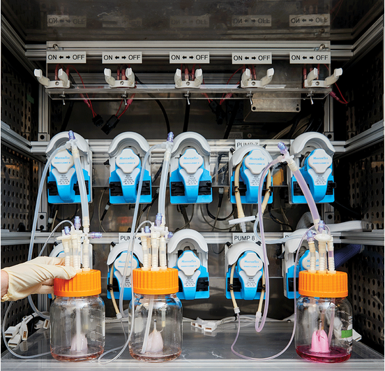 QQ 截图 20180303093523