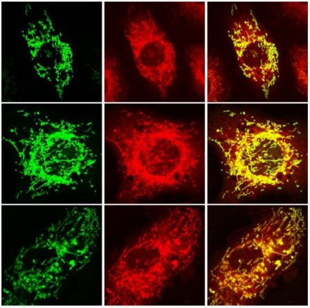 QQ 截图 20180130202820
