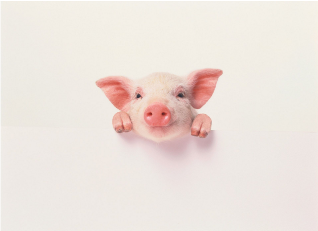 QQ 截图 20180118092403