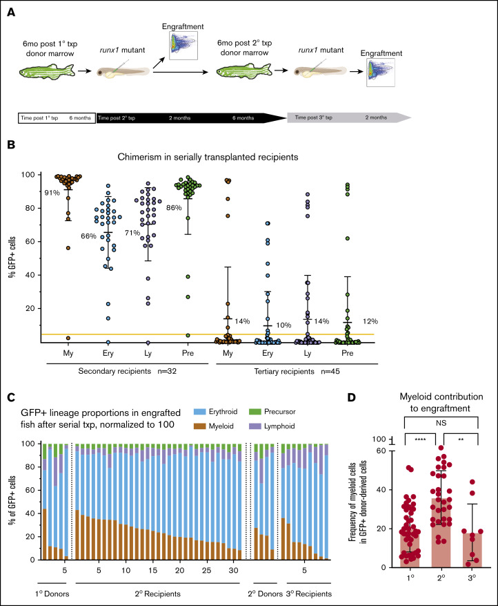 1-s20-S2473952920319881-gr3.jpg 1-s20-S2473952920319881-gr3.jpg