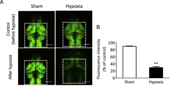 1-s20-S1347861321000621-gr3.jpg 1-s20-S1347861321000621-gr3.jpg